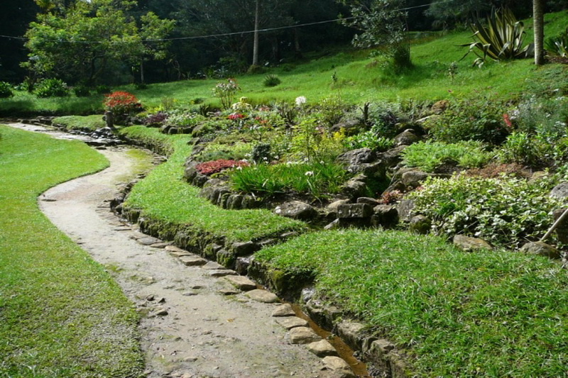 Sri Lanka, Xakgala Botanical Garden